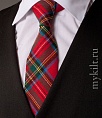 картинка Галстук Royal Stewart от магазина  Mykilt