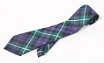 картинка Галстук Lamont от магазина  Mykilt
