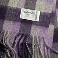 картинка Purple Oyster от магазина  Mykilt