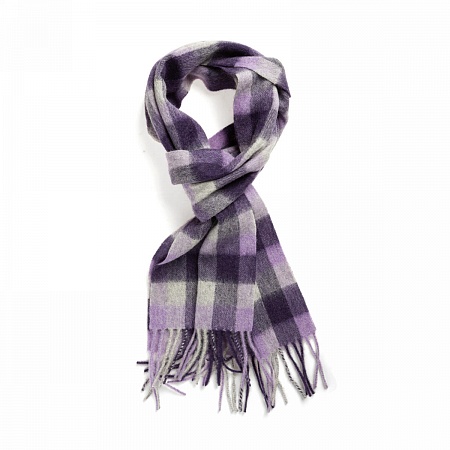 картинка Purple Oyster от магазина  Mykilt