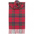 картинка Robertson Red Modern от магазина  Mykilt